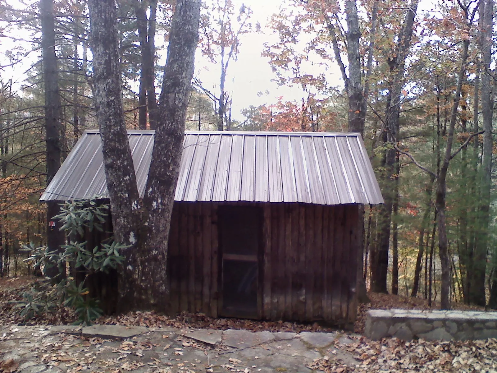 New metal gable roof on a small log shed among the trees in Coalmont